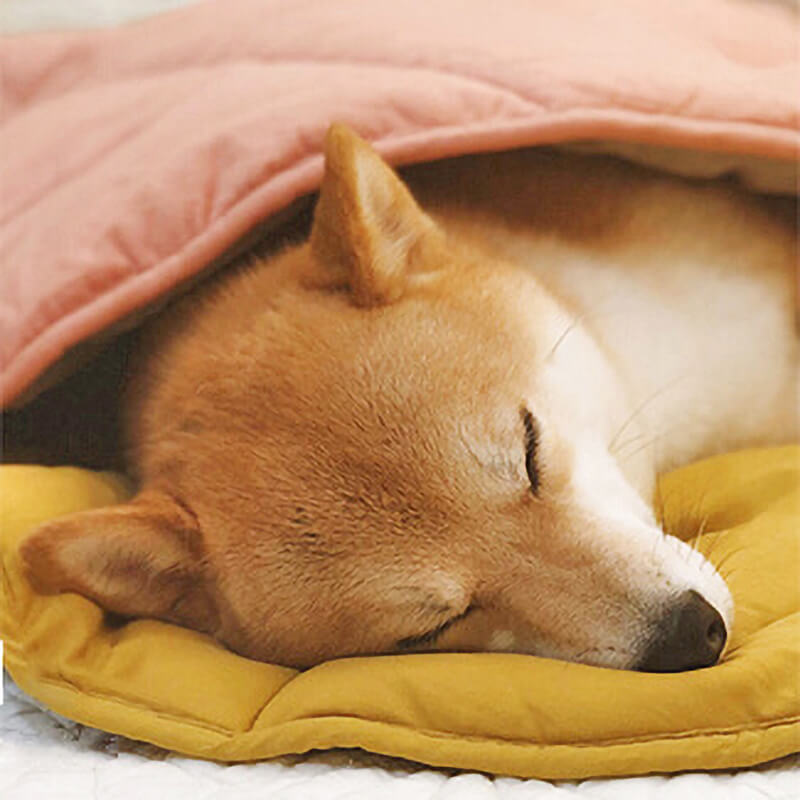 5270 Extra-Large Leaf-Shaped Pet Mat