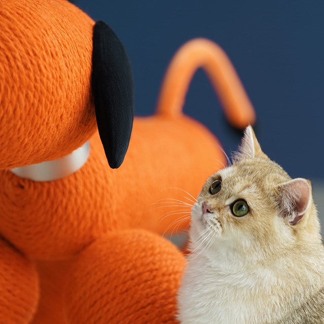 6146 Whimsical Balloon Adventure for Your Cat - Félicette's Playful Climber!