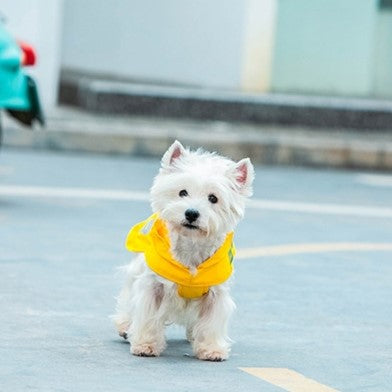 2200 Adorable Raincoat – Lightweight, Breathable, and Stylish
