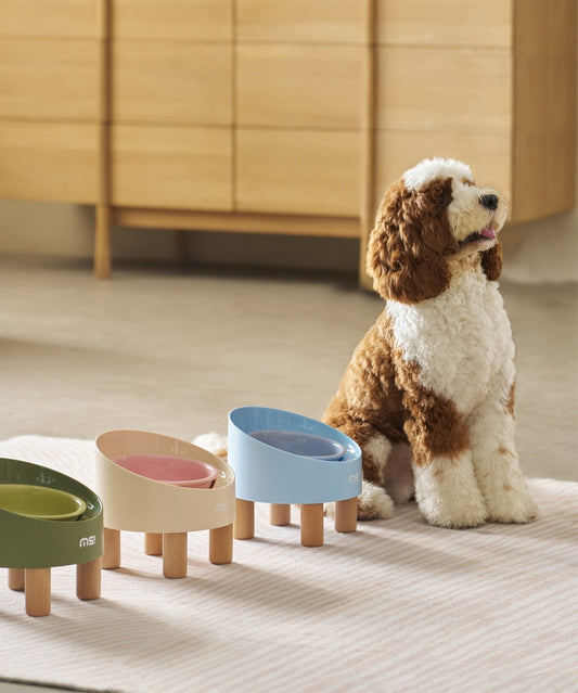 7297 Elevated Anti-Spill Pet Bowl – Ergonomic, Easy to Clean, Perfect for Mess-Free Mealtime