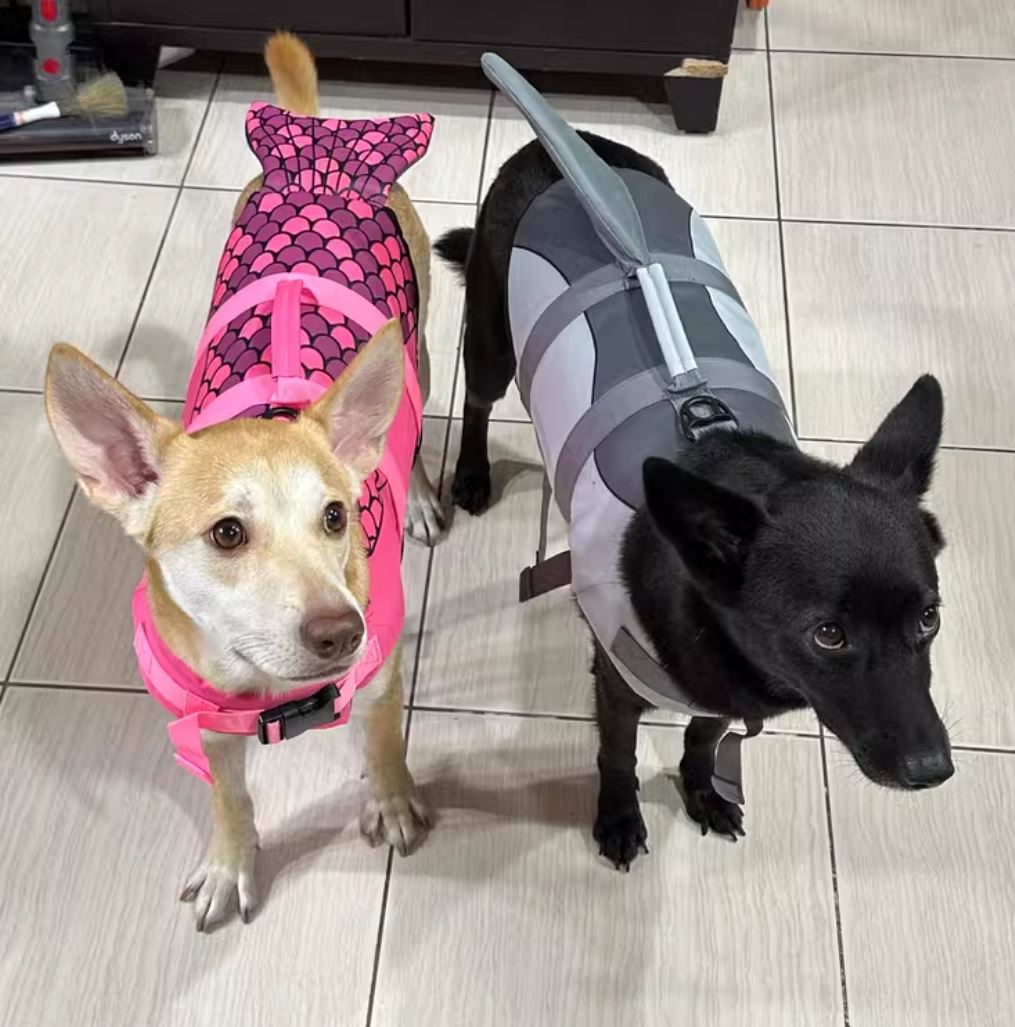 2268 Shark & Mermaid Dog Life Jackets - Safe and Stylish Pet Swimwear